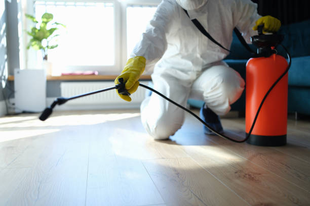 Best Pest Removal Services  in Mound Bayou, MS