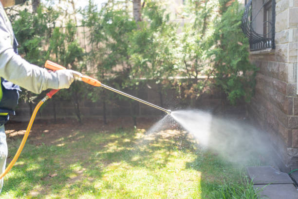 Best Bed Bug Extermination  in Mound Bayou, MS